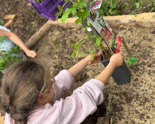 Schulgarten verbindet Klimaschutz und Bildung